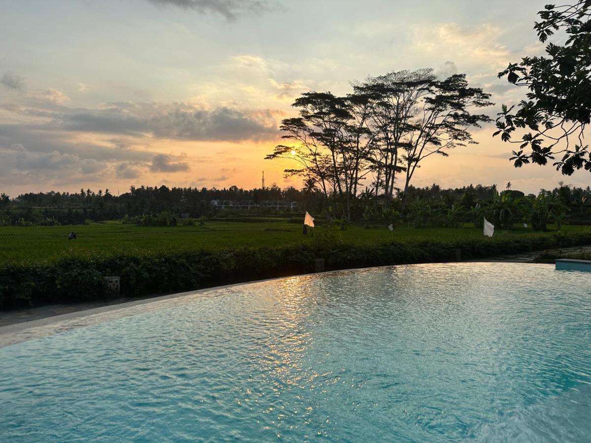 Griya Kcb Villa Ubud Exteriör bild