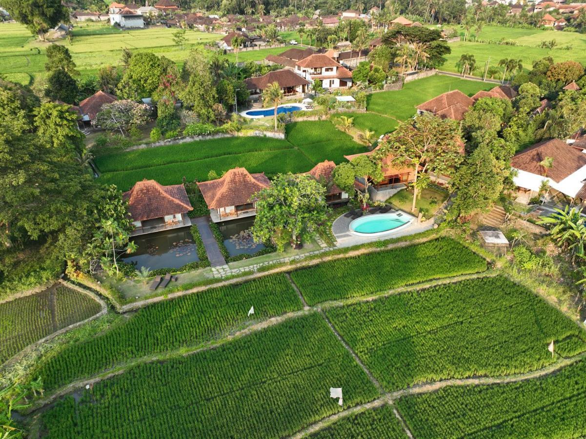 Griya Kcb Villa Ubud Exteriör bild