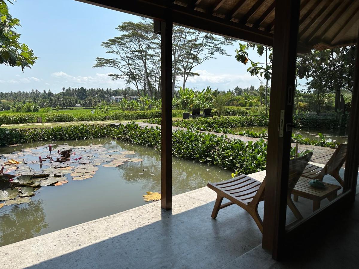 Griya Kcb Villa Ubud Exteriör bild