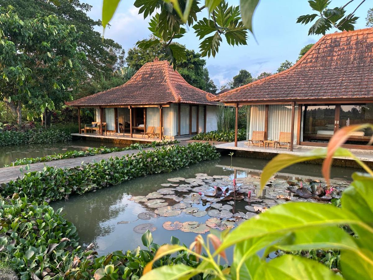 Griya Kcb Villa Ubud Exteriör bild