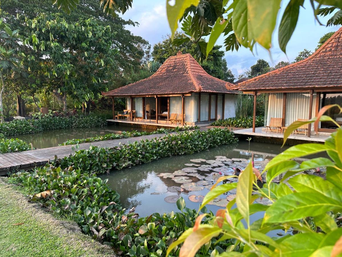 Griya Kcb Villa Ubud Exteriör bild