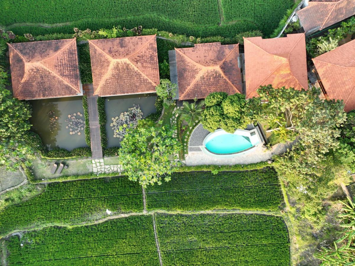 Griya Kcb Villa Ubud Exteriör bild