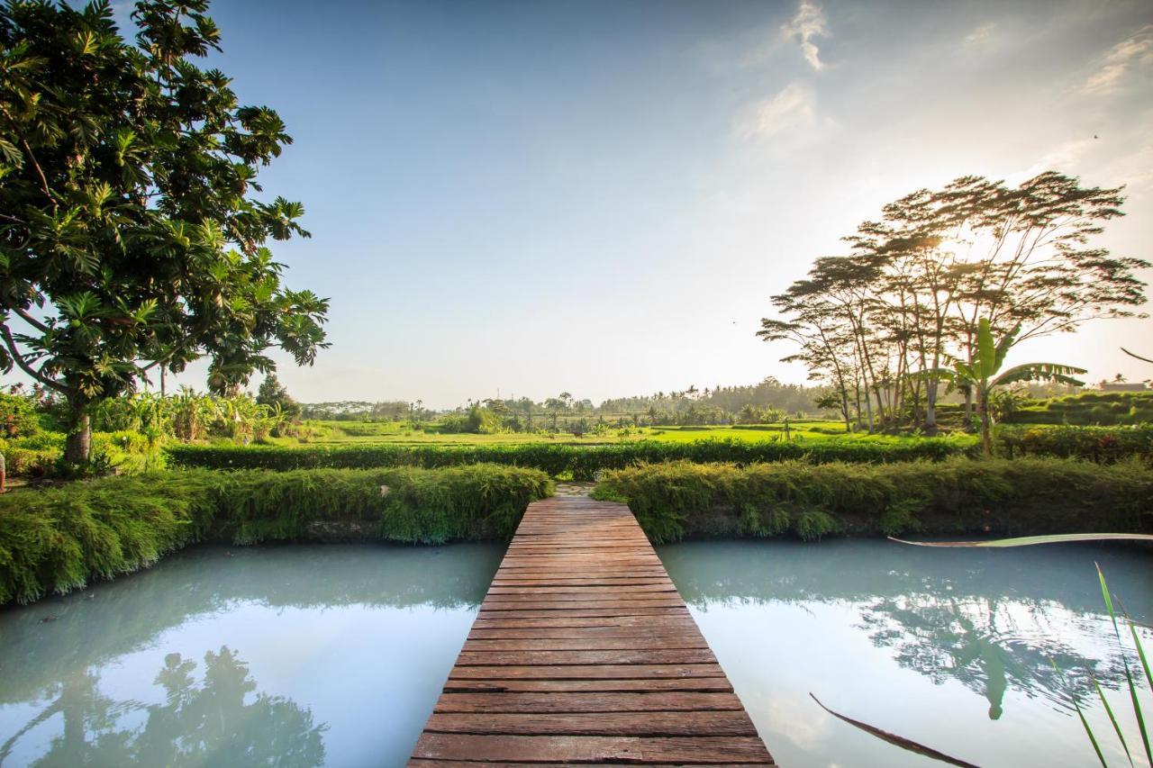 Griya Kcb Villa Ubud Exteriör bild