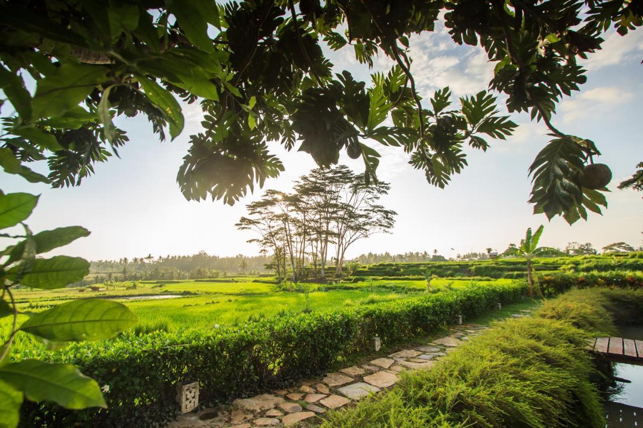 Griya Kcb Villa Ubud Exteriör bild