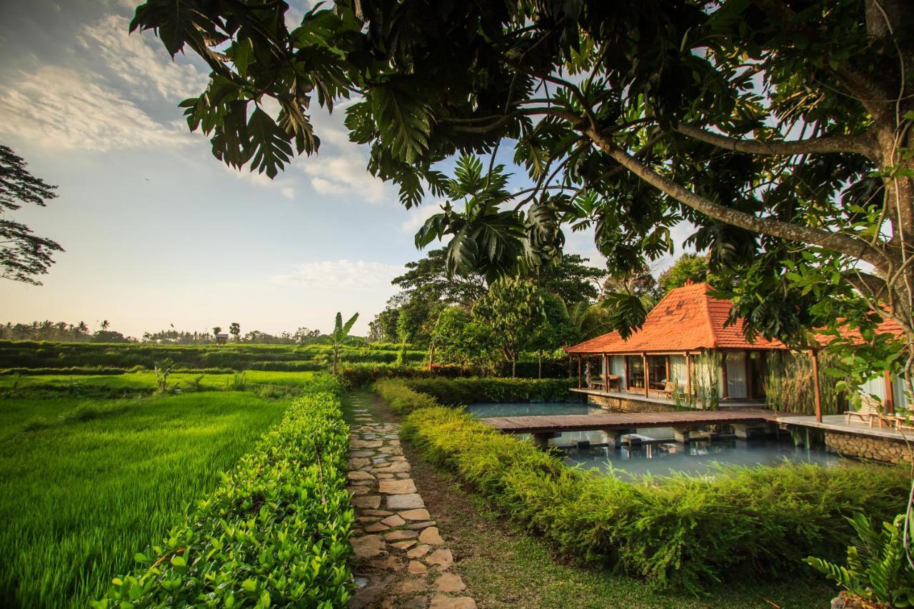 Griya Kcb Villa Ubud Exteriör bild