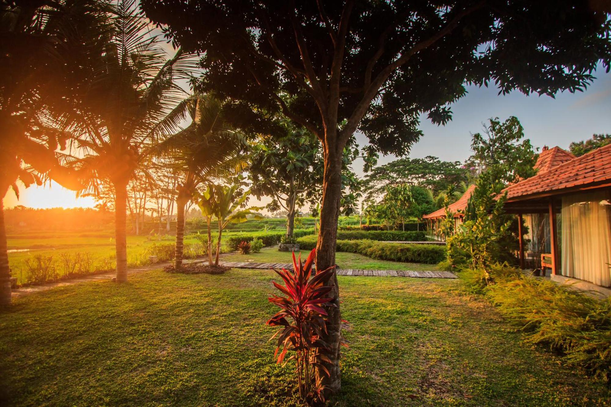 Griya Kcb Villa Ubud Exteriör bild