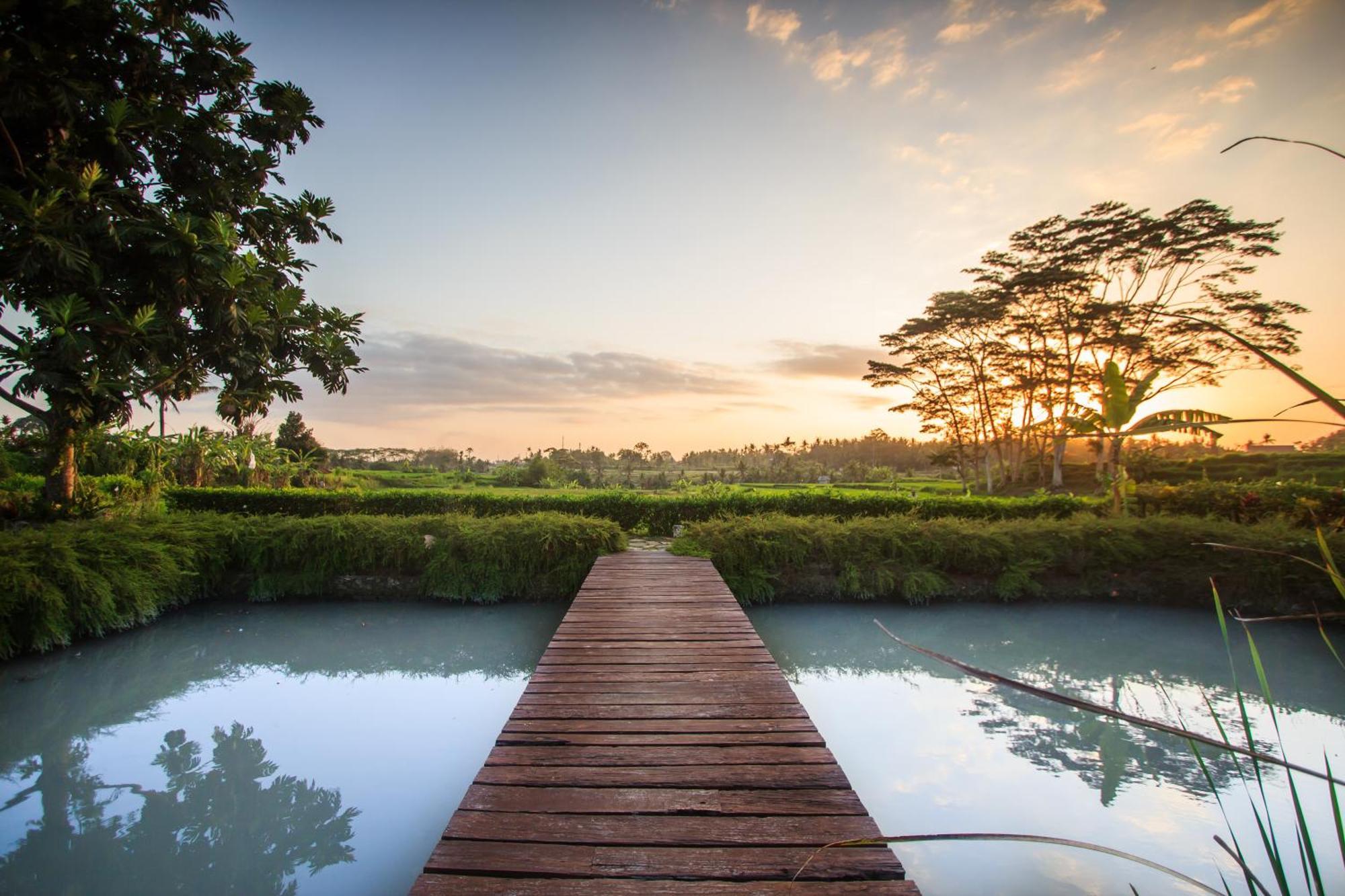 Griya Kcb Villa Ubud Exteriör bild