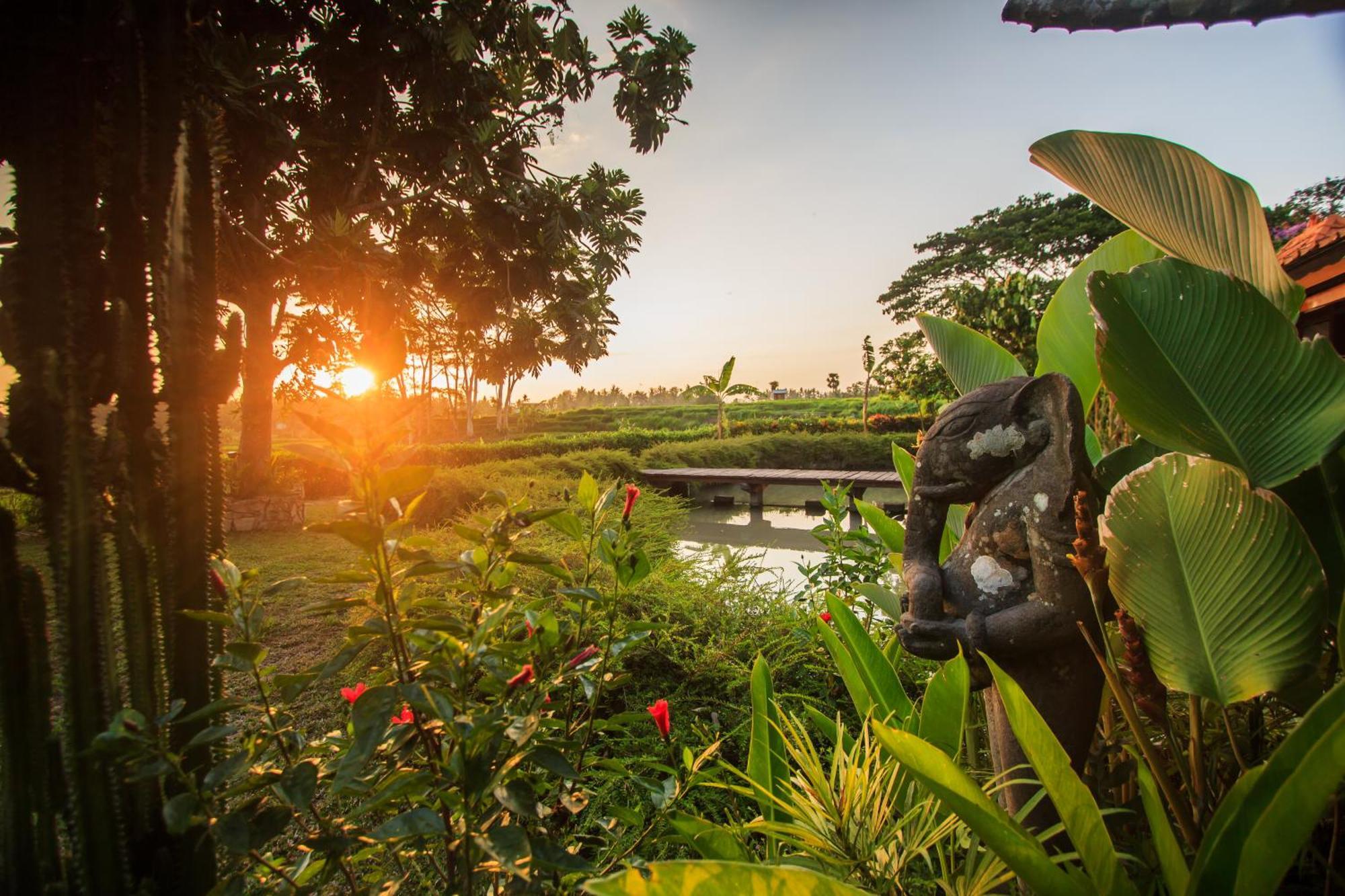 Griya Kcb Villa Ubud Exteriör bild