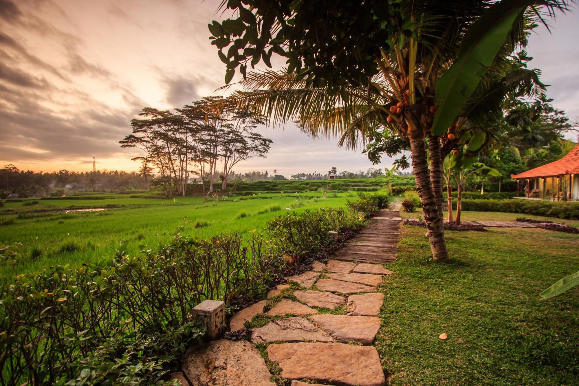 Griya Kcb Villa Ubud Exteriör bild