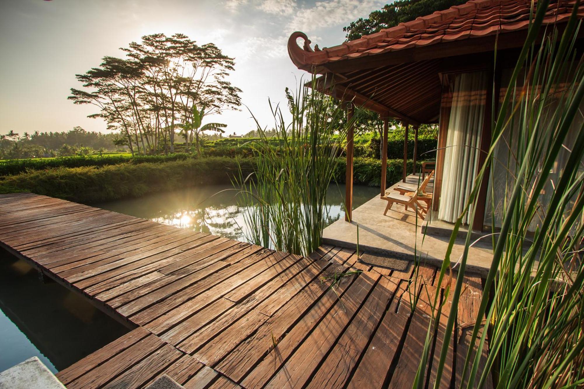 Griya Kcb Villa Ubud Exteriör bild