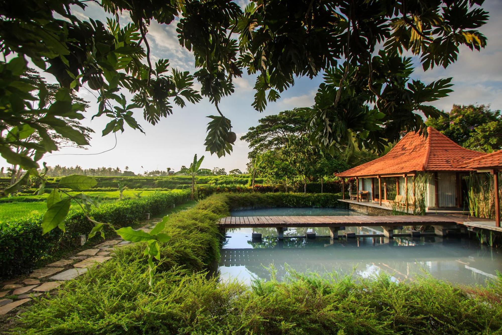 Griya Kcb Villa Ubud Exteriör bild